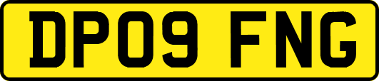 DP09FNG