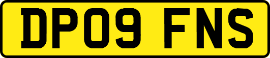 DP09FNS