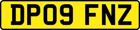 DP09FNZ