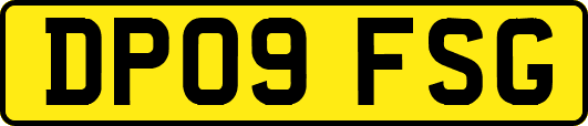 DP09FSG
