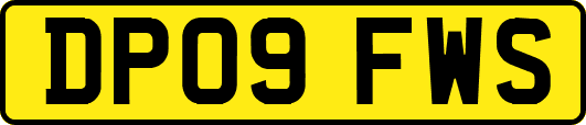 DP09FWS
