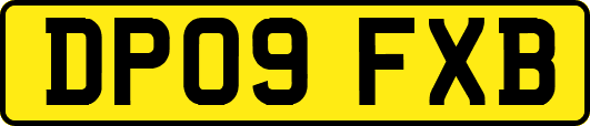 DP09FXB