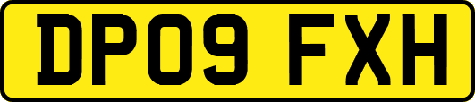 DP09FXH
