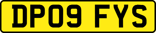 DP09FYS
