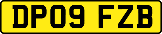 DP09FZB