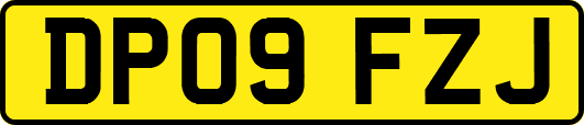 DP09FZJ