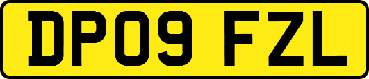 DP09FZL