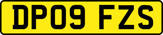 DP09FZS