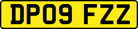 DP09FZZ