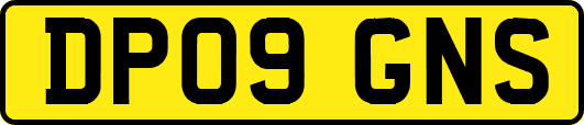 DP09GNS