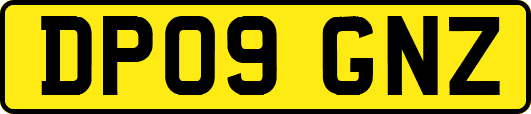 DP09GNZ