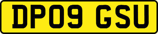 DP09GSU