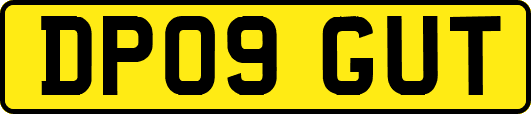 DP09GUT