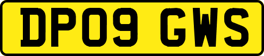DP09GWS