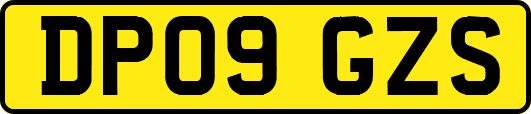DP09GZS