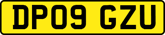 DP09GZU