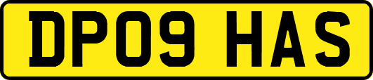 DP09HAS