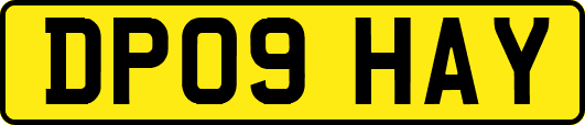 DP09HAY