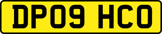 DP09HCO