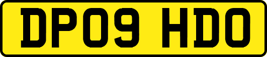 DP09HDO