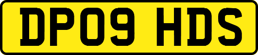 DP09HDS
