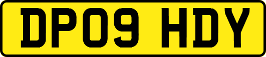 DP09HDY