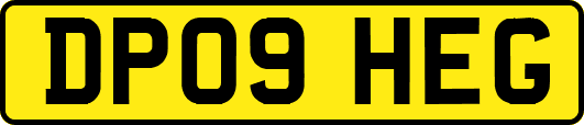 DP09HEG