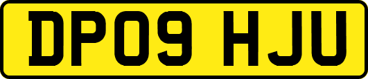 DP09HJU