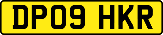 DP09HKR