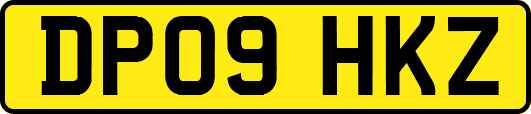 DP09HKZ