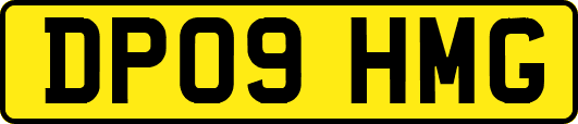 DP09HMG