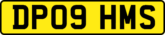 DP09HMS