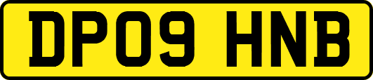 DP09HNB