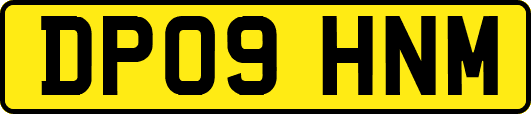 DP09HNM