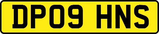 DP09HNS