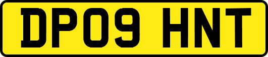 DP09HNT