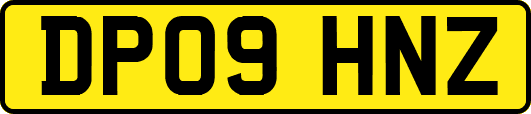 DP09HNZ