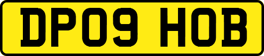 DP09HOB