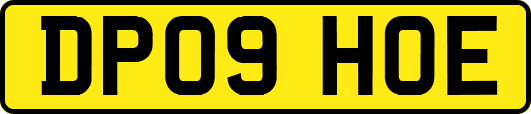DP09HOE