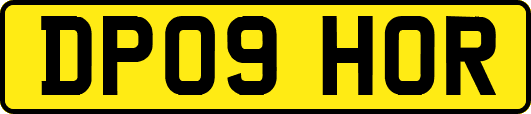 DP09HOR