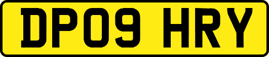 DP09HRY