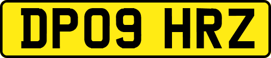 DP09HRZ