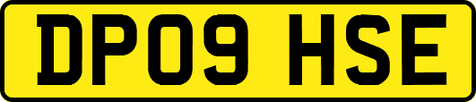 DP09HSE