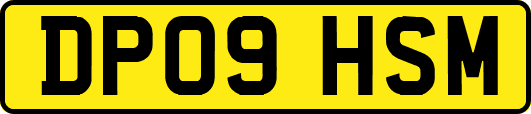 DP09HSM