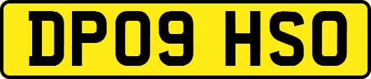DP09HSO