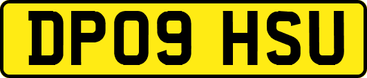 DP09HSU