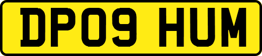 DP09HUM