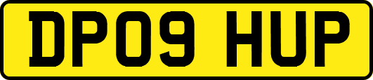DP09HUP