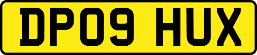 DP09HUX