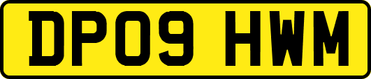 DP09HWM
